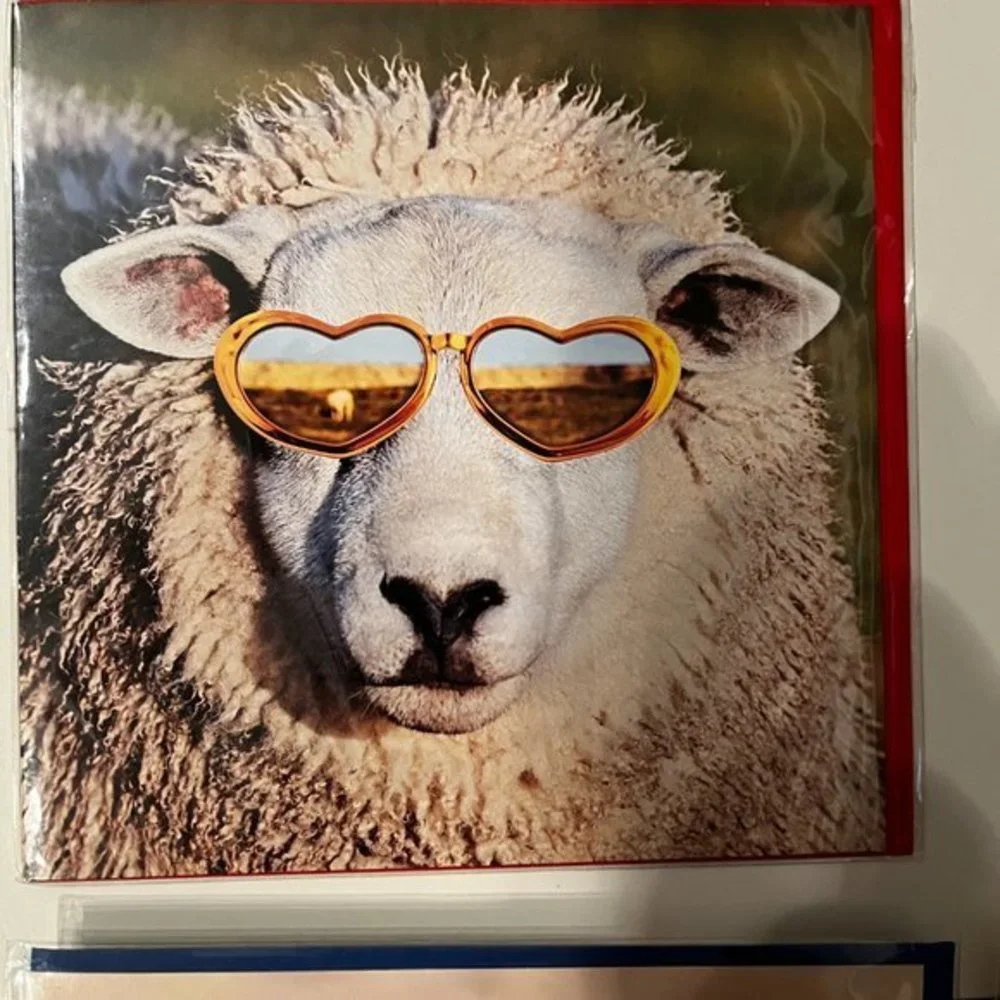 Blank Greeting Cards -‎ Set of 4 - Animal Themed (new) (home/x)